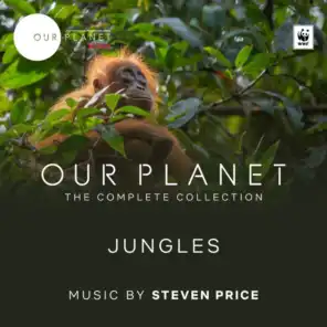 Jungles (Episode 3 / Soundtrack From The Netflix Original Series "Our Planet")