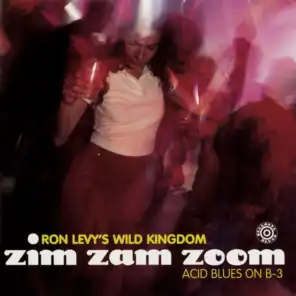 Zim Zam Zoom: Acid Blues On B-3