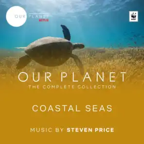 Coastal Seas (Episode 4 / Soundtrack From The Netflix Original Series "Our Planet")