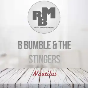 B Bumble & The Stingers
