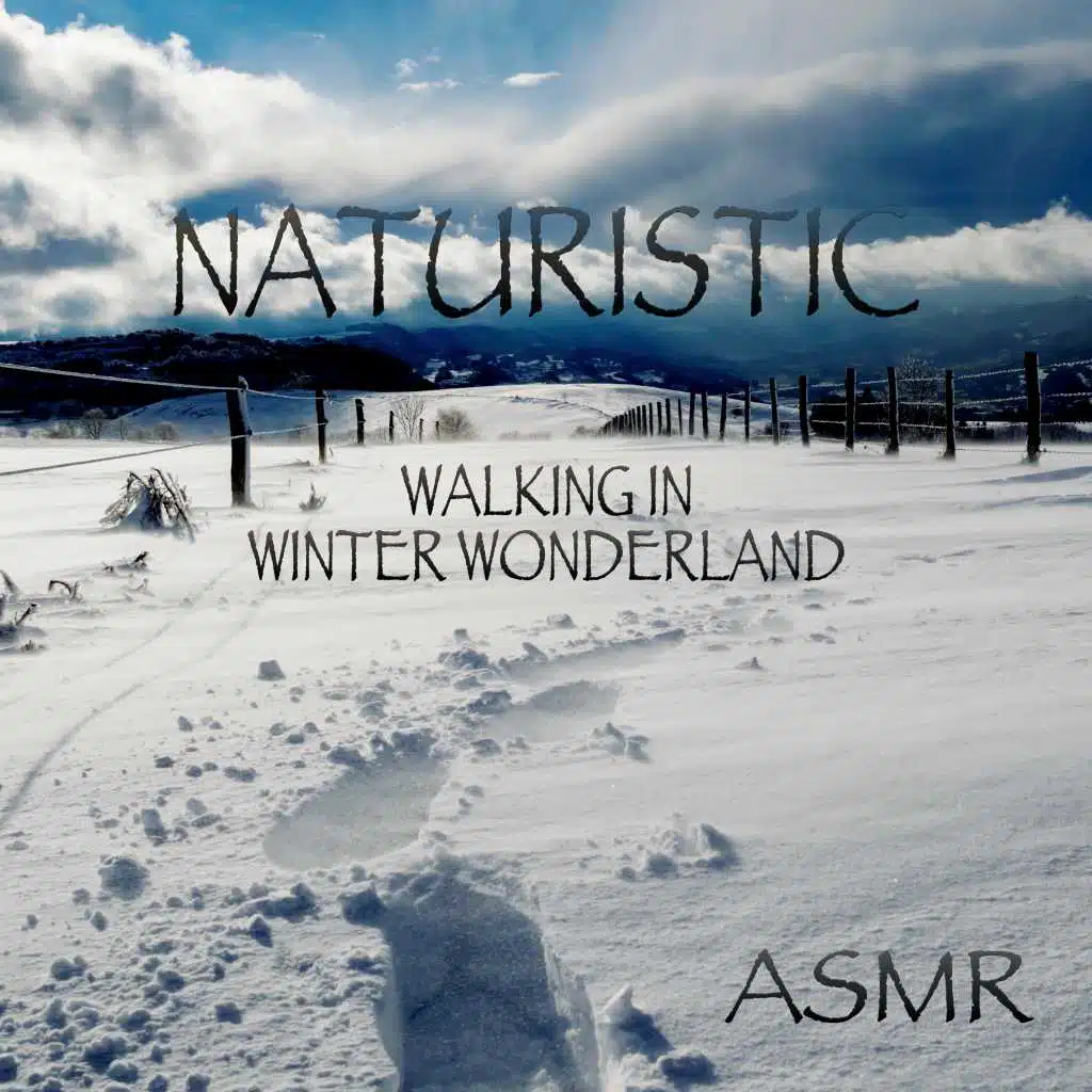 Walking In A Winter Forest