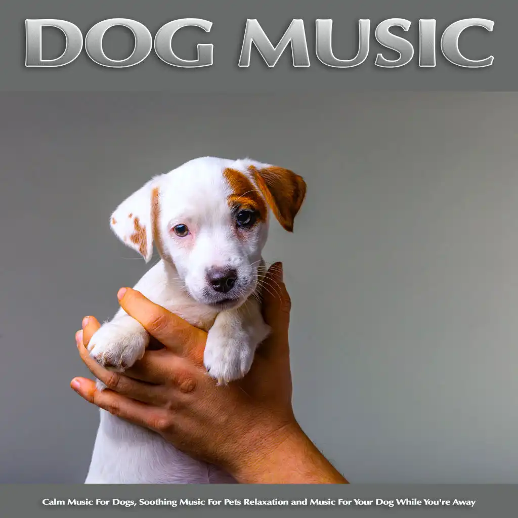 Dog Music: Calm Music For Dogs, Soothing Music For Pets Relaxation and Music For Your Dog While You're Away