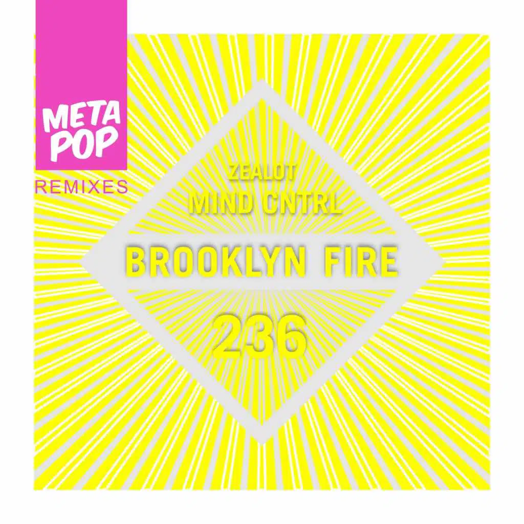 Zealot: MetaPop Remixes