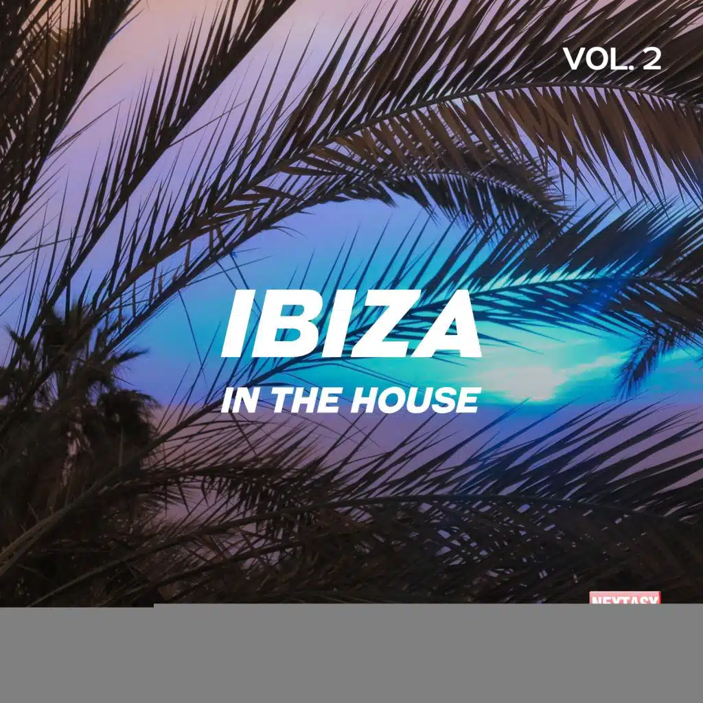 Ibiza In The House, Vol. 2