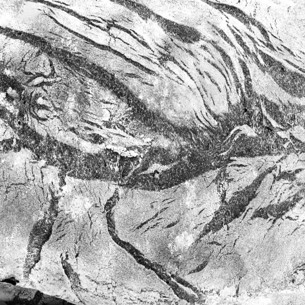 Miraculum (Original Soundtrack)