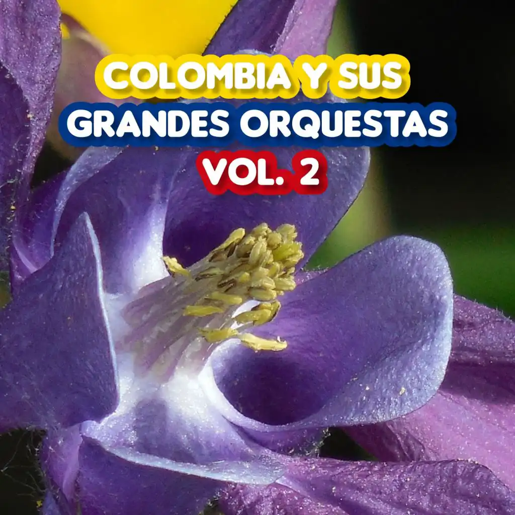 Colombia y Sus Grandes Orquestas, Vol. 2