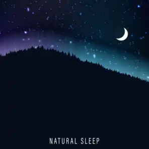 Natural Sleep – New Age Music for Relaxation, Rest, Sleep, Zen Lounge, Sleep Tunes, Calming Lullabies, Deep Harmony, Inner Silence, Nature Sounds