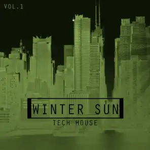 Winter Sun Tech House, Vol. 1