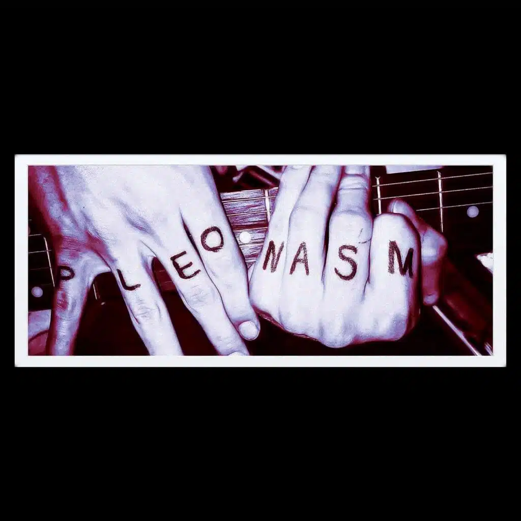 Pleonasm