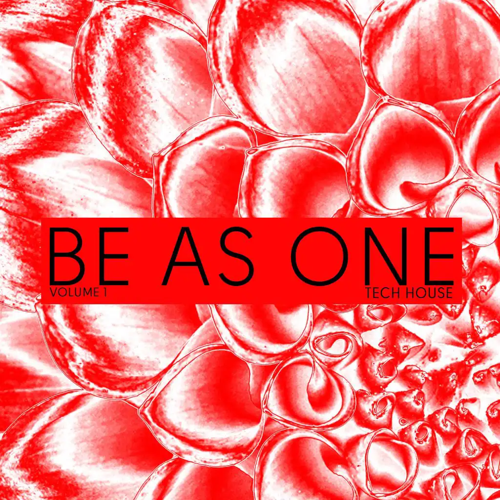 Be As One Tech House, Vol. 1