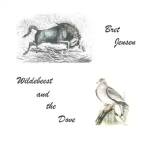 Wildebeest and the Dove
