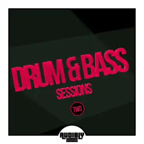 Drum & Bass Sessions, Two