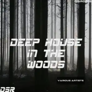 Deep House in the Woods