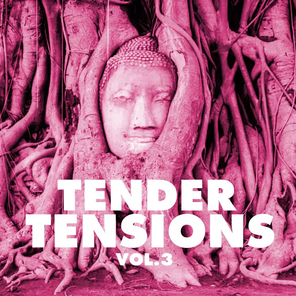Tender Tensions, Vol. 3