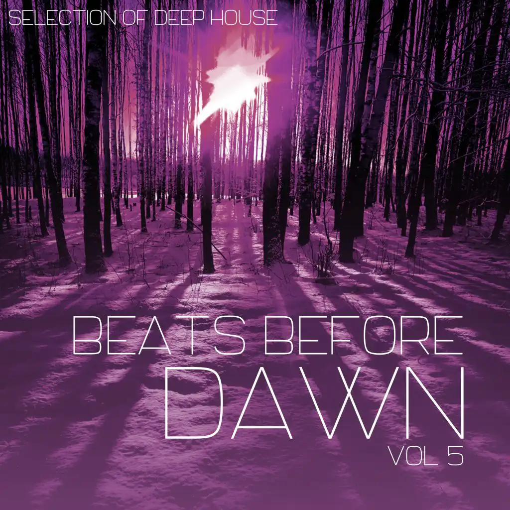 Beats Before Dawn, Vol. 5