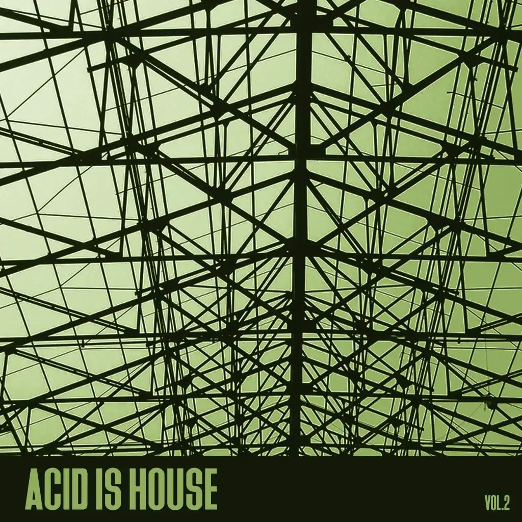 Acid Is House, Vol. 2