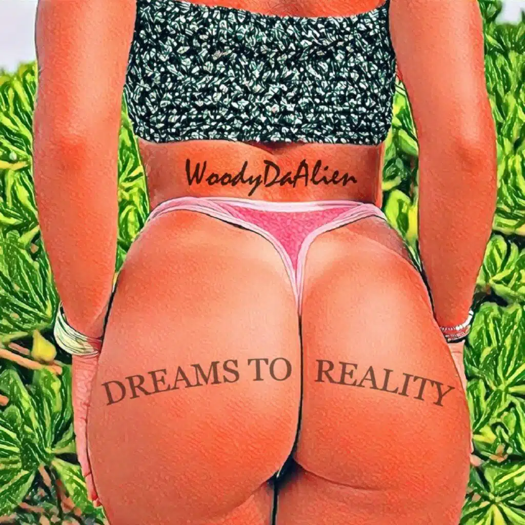 Dreams to Reality