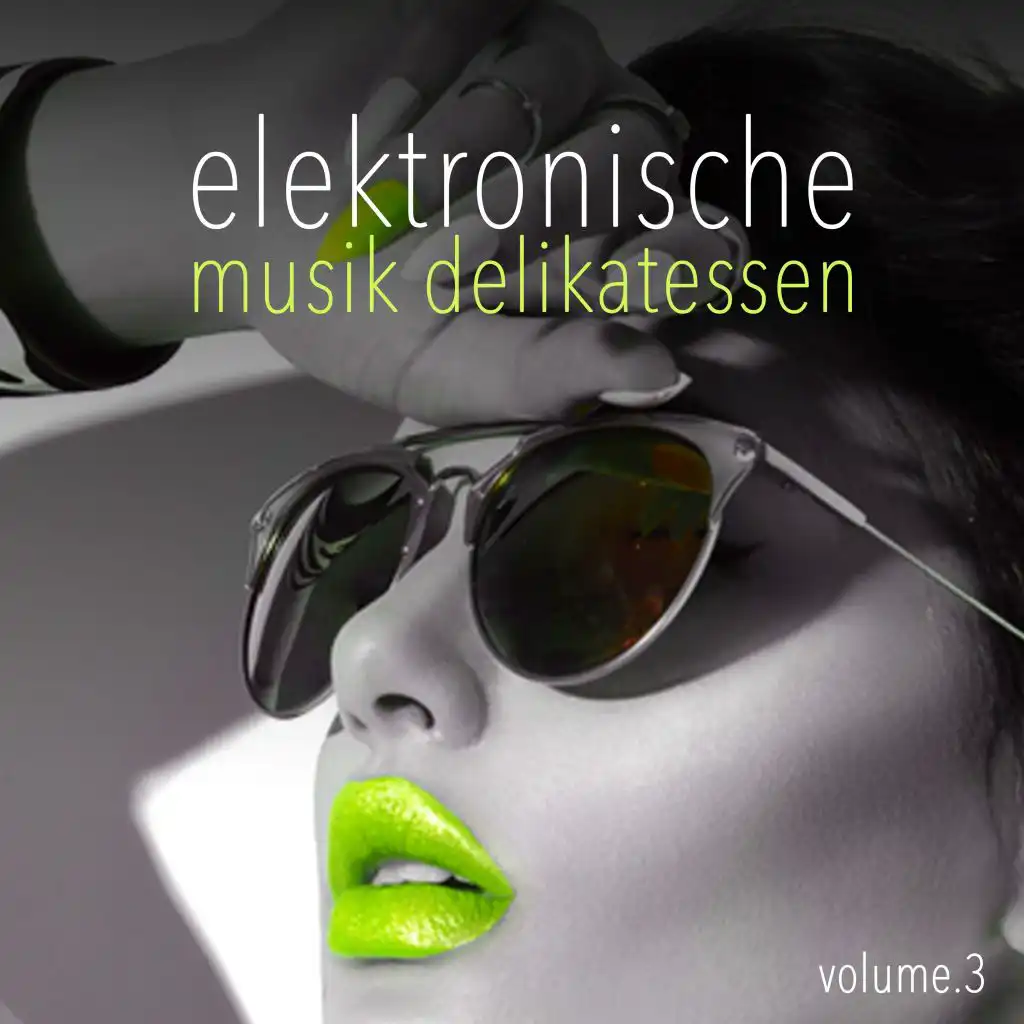 Elektronische Musik Delikatessen, Vol. 3 - Selection of Dance Music