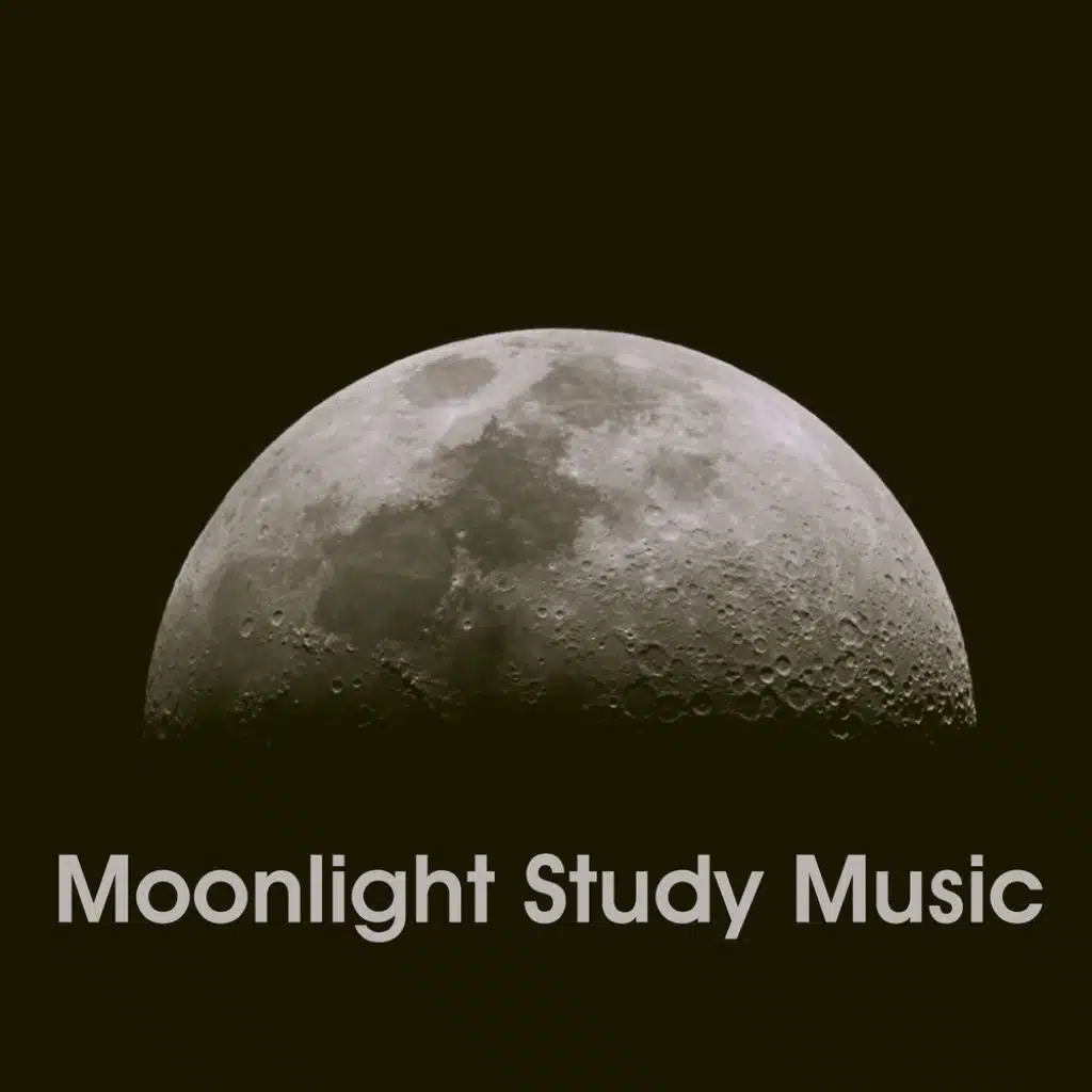 Down Alone (Simon Lunardi Remix)