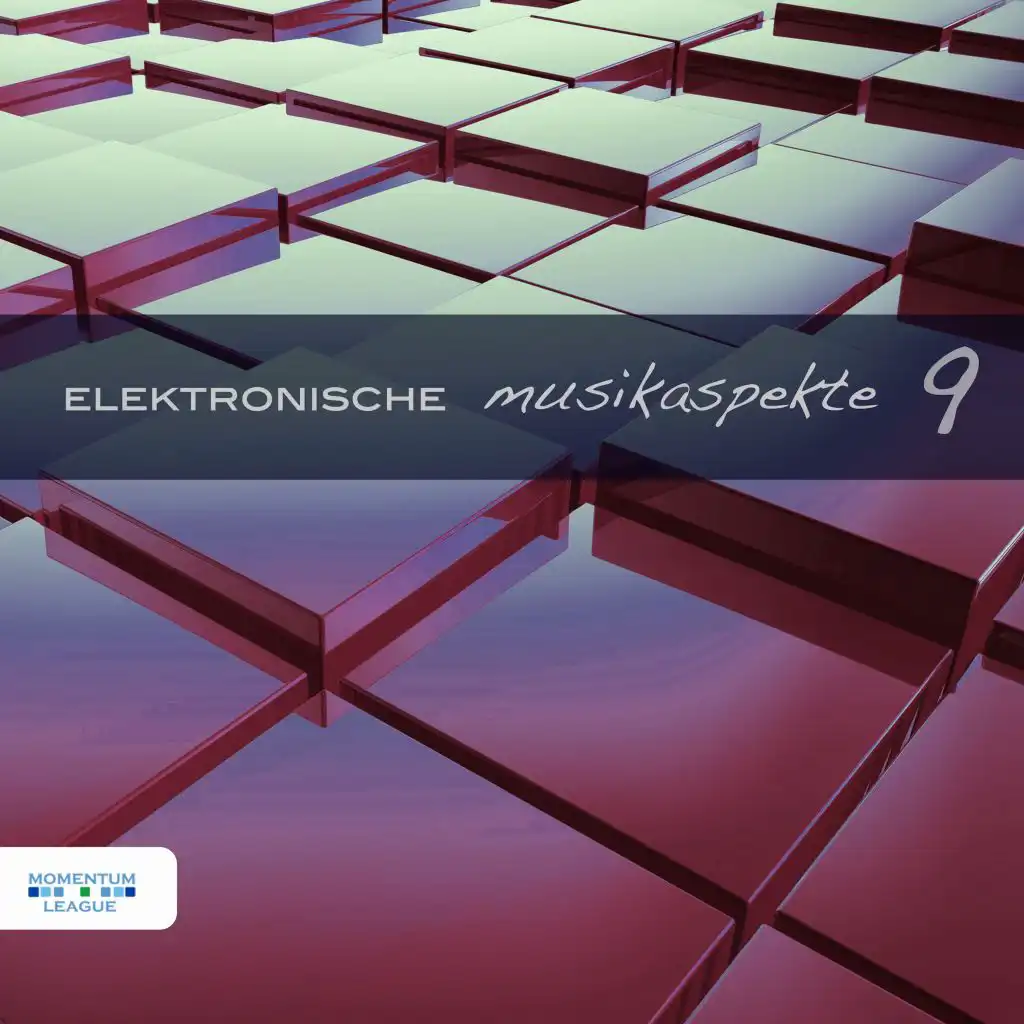 Elektronische Musikaspekte, Vol. 9