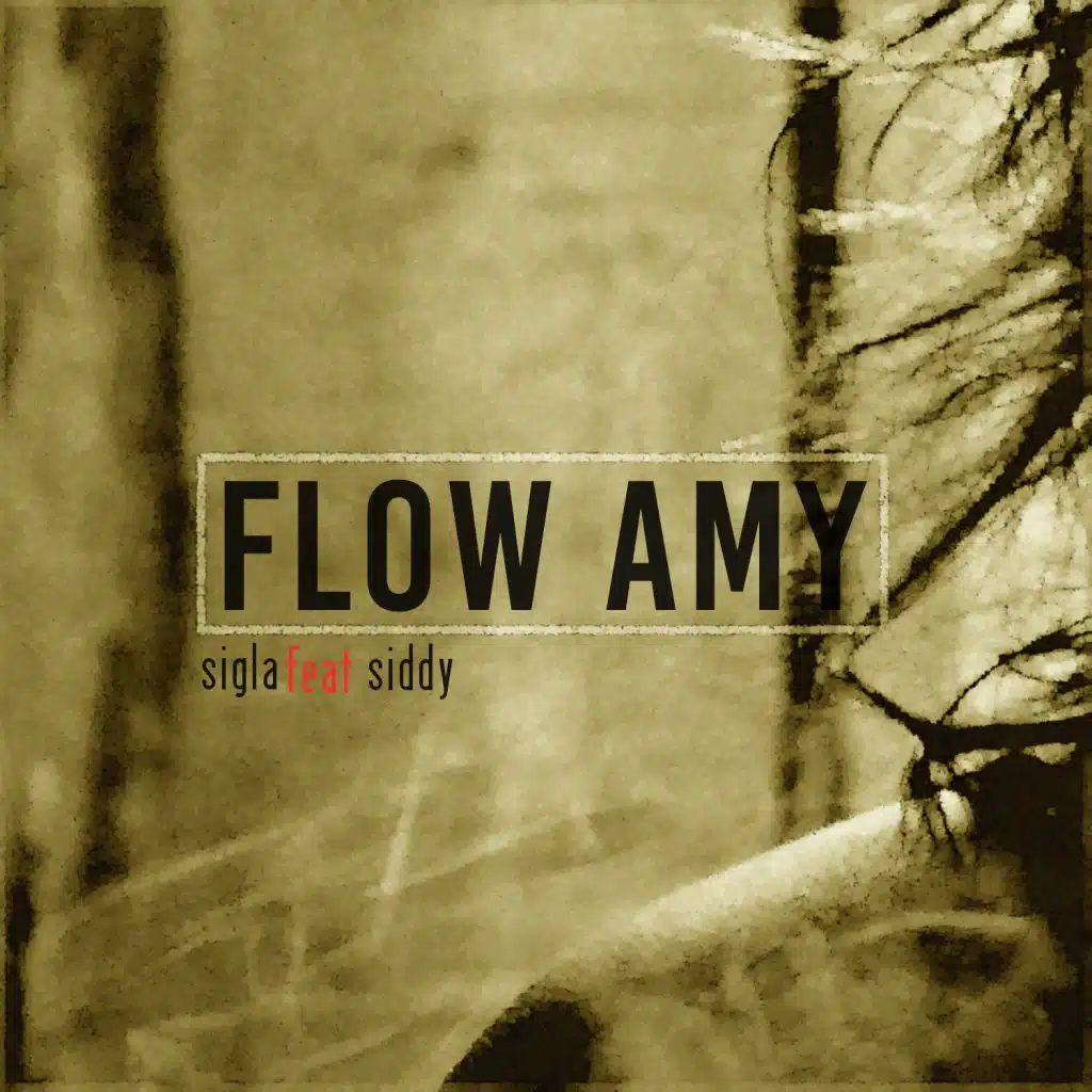 Flow Amy (feat. Siddy)