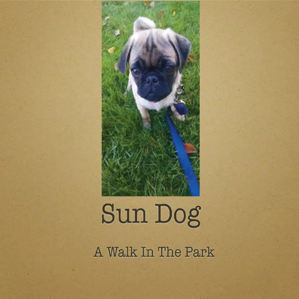A Walk in the Park