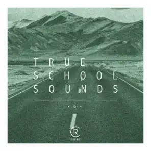 True School Sounds, Vol. 6