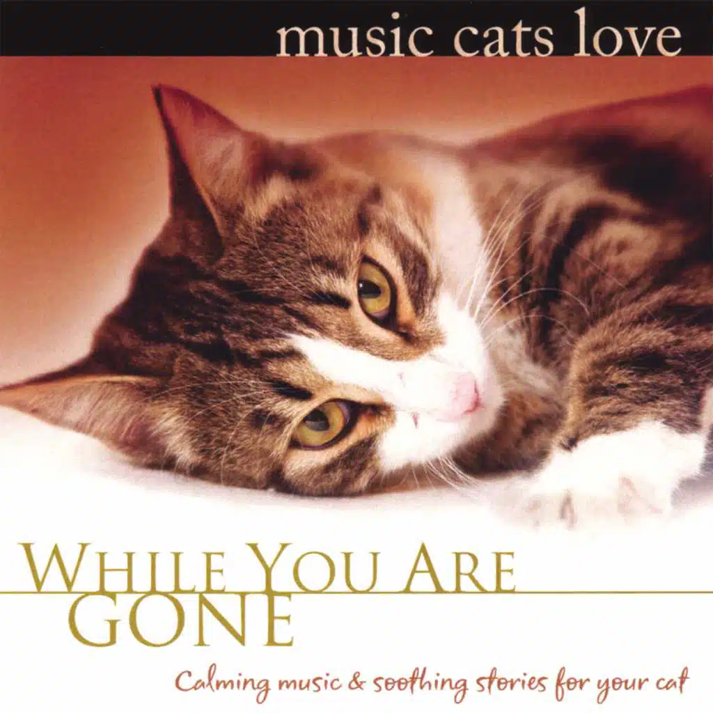 Music Cats Love: While You Are Gone