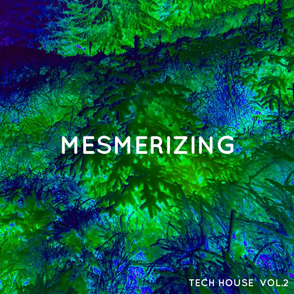 Mesmerizing Tech House, Vol. 2