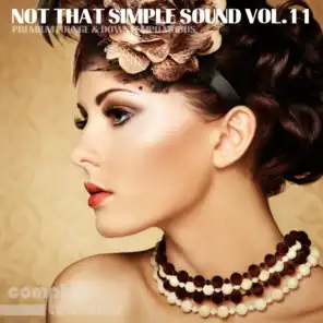 Not That Simple Sound, Vol. 11 - Premium Lounge and Downtempo Moods
