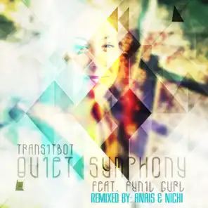Quiet Symphony (Anais & Nichi Remix)