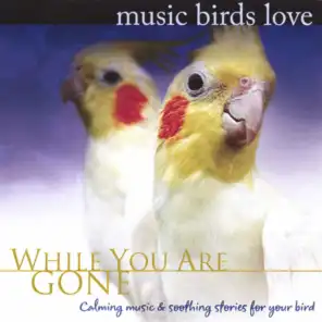 Music Birds Love: While You Are Gone