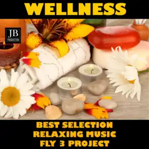 Wellness (Best Selection Relaxing Music)
