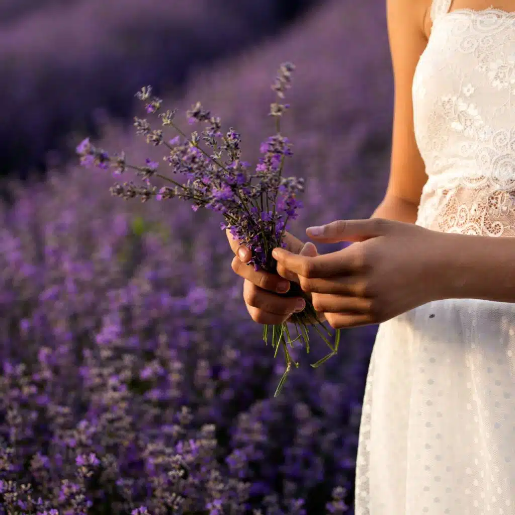 Pink Noise & White Noise & Brown Noise (Meditation, Sleep and Rest Noise)