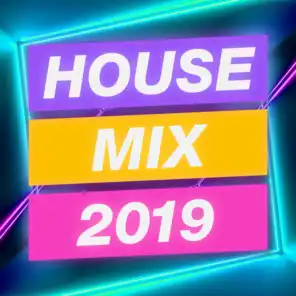 House Mix 2019 (Dj Mix)