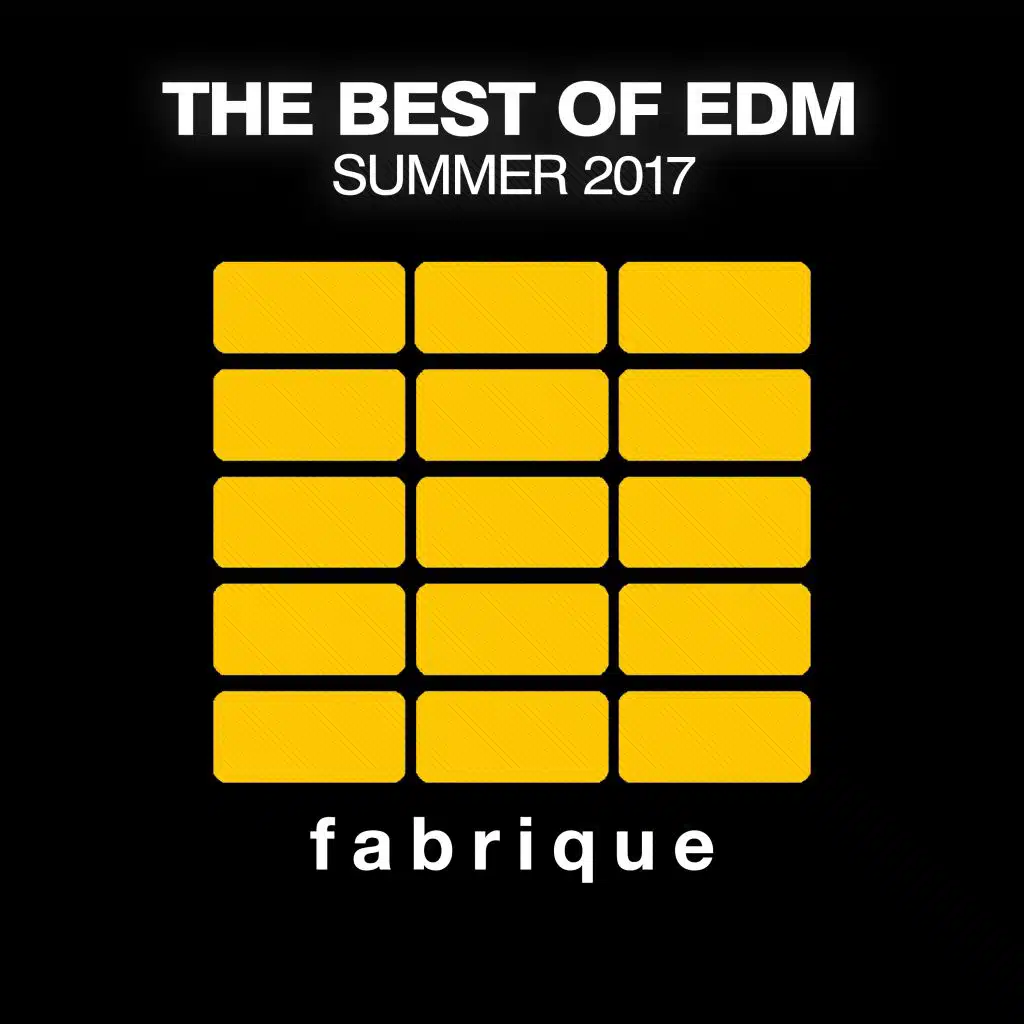 The Best of EDM (Summer 2017)