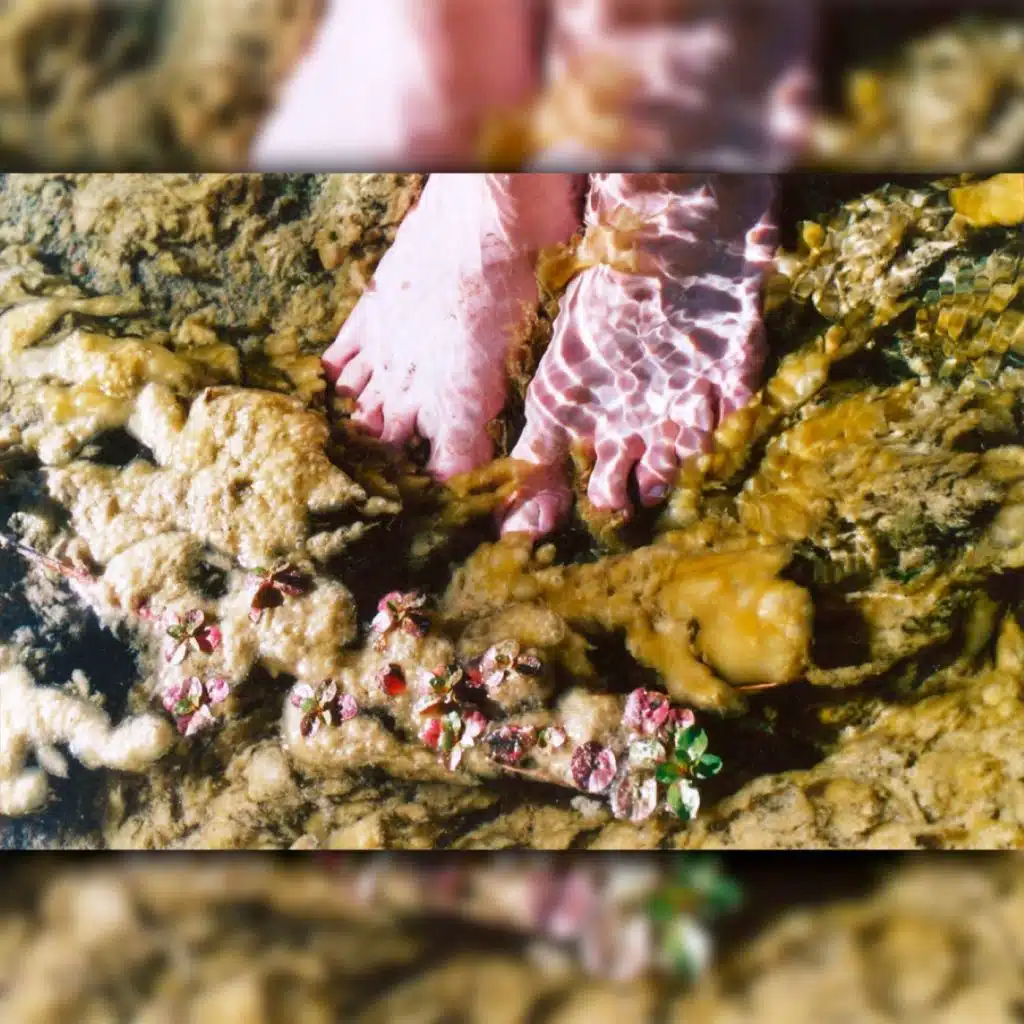 Con los Pies en el Agua