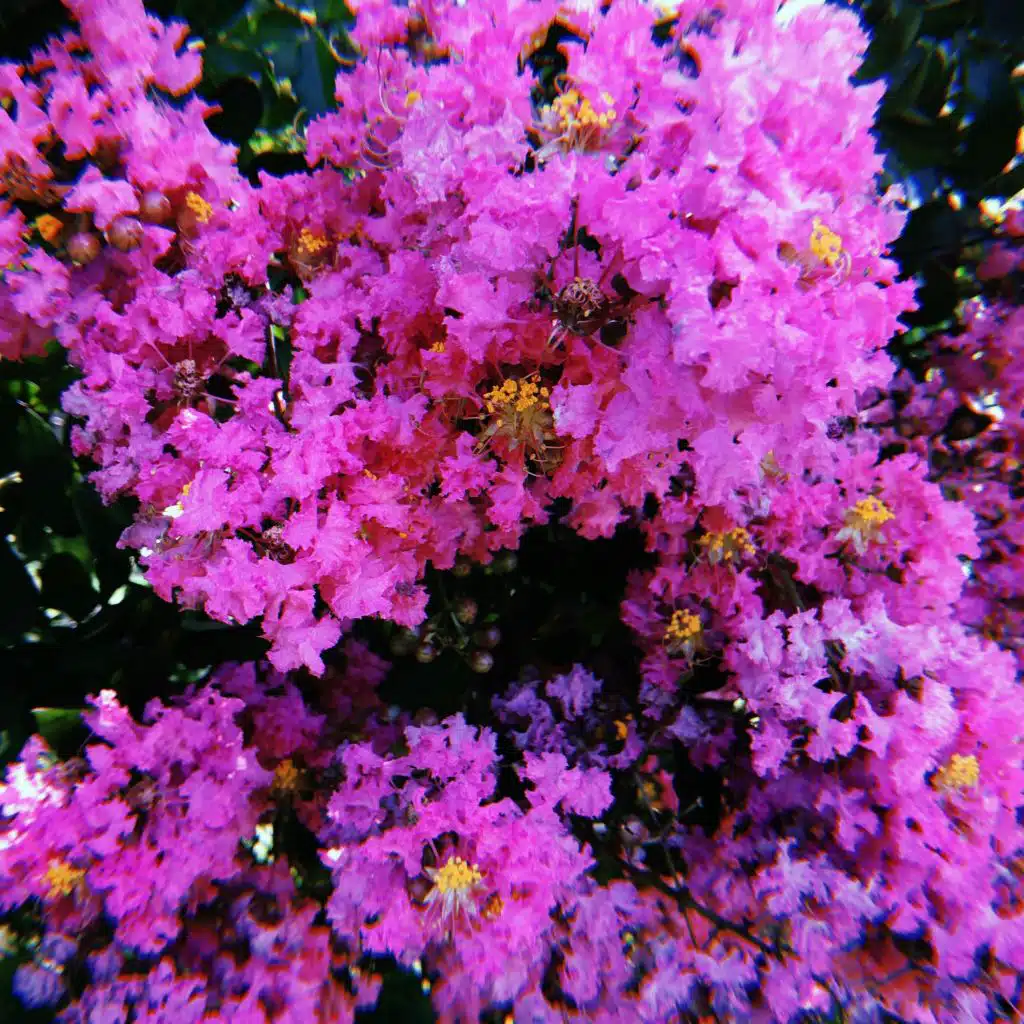 The Changing of the Seasons