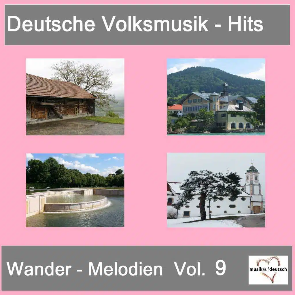 Deutsche Volksmusik-Hits: Wander-Melodien, Vol. 9