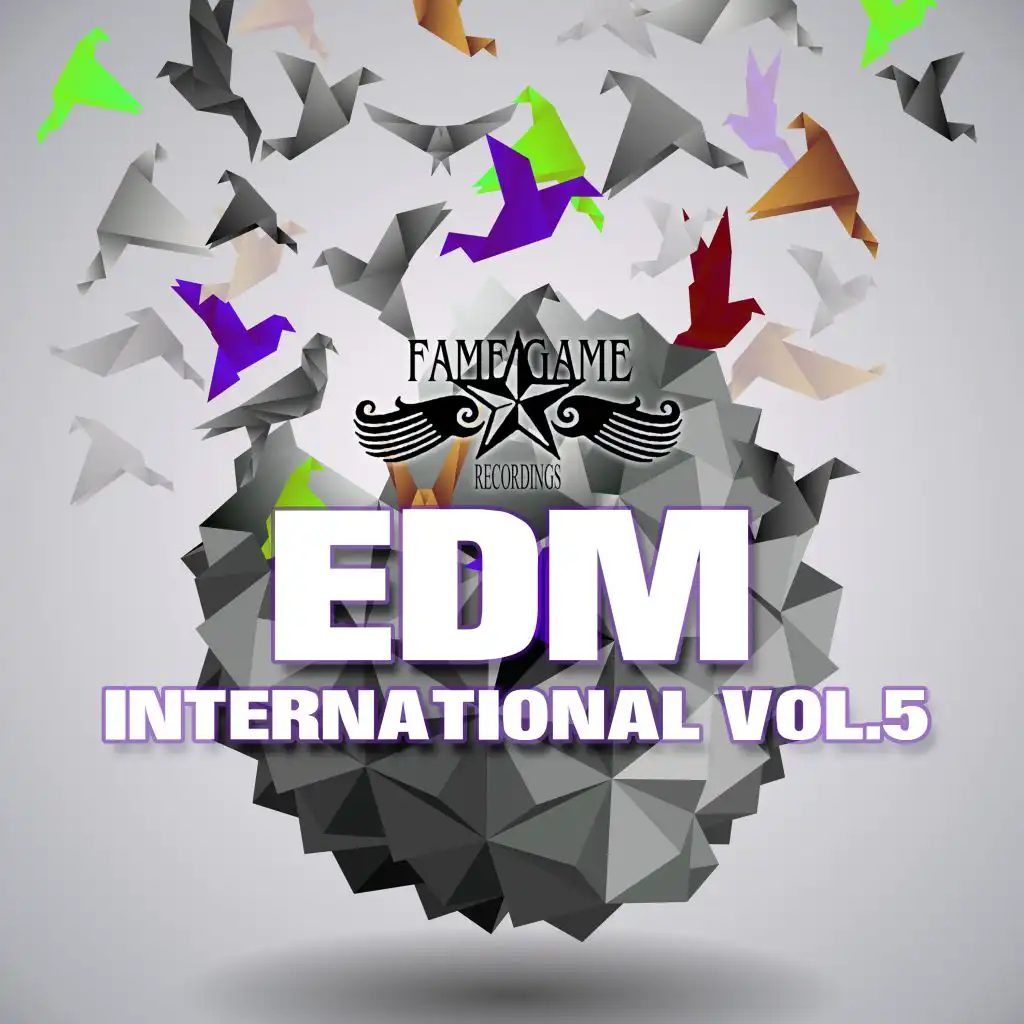 EDM International, Vol. 5