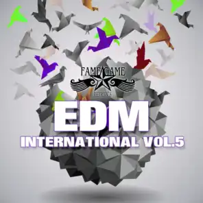 EDM International, Vol. 5
