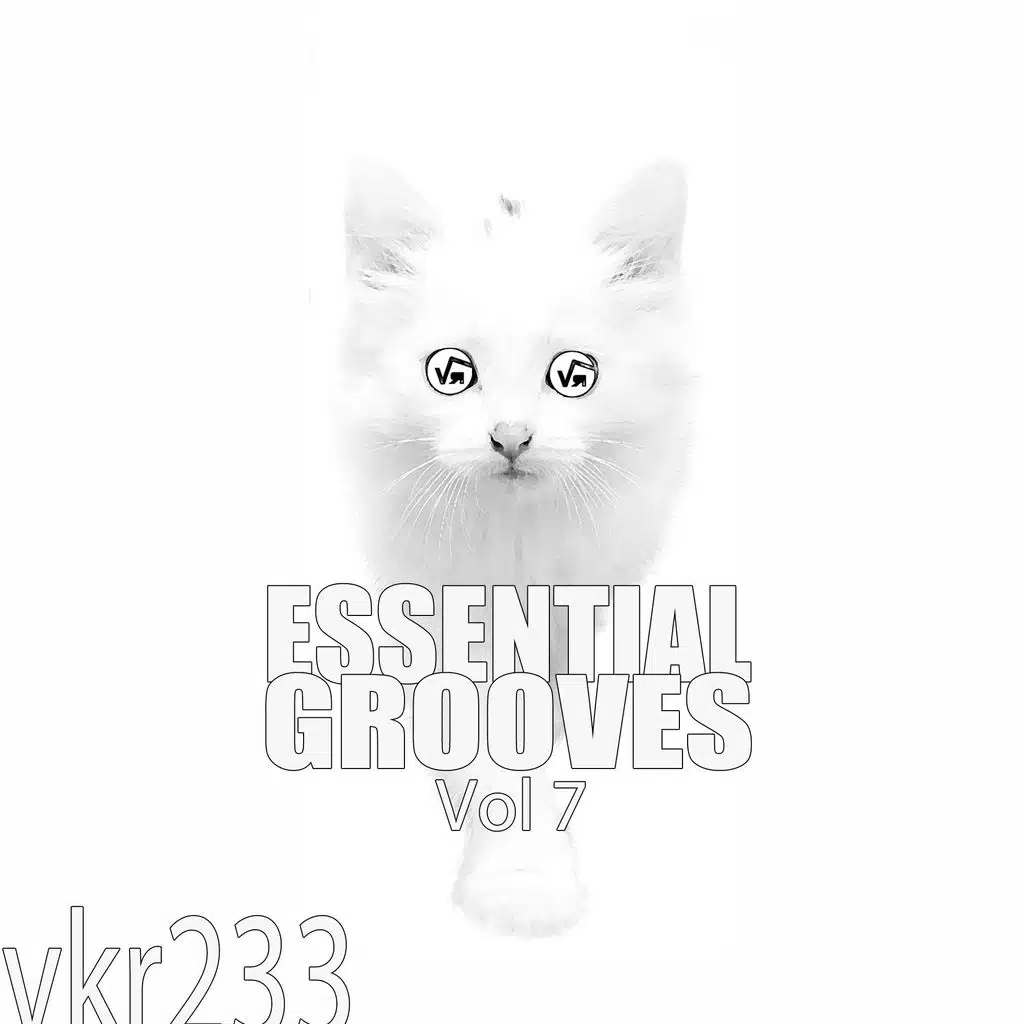 Essential Grooves, Vol. 7