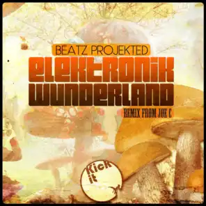 Elektrik Wunderland (Joe C Remix)