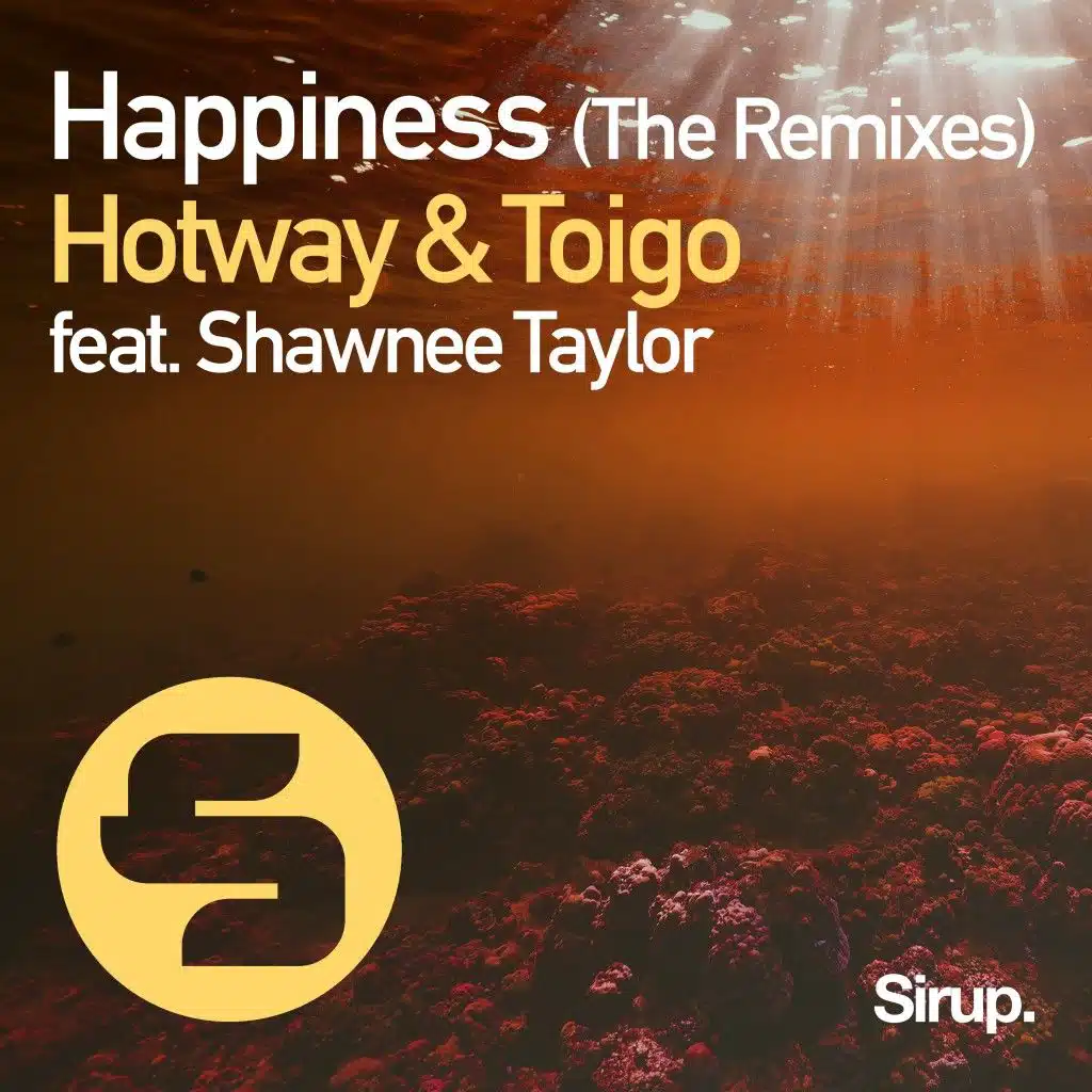 Happiness (The Remixes) [feat. Shawnee Taylor]
