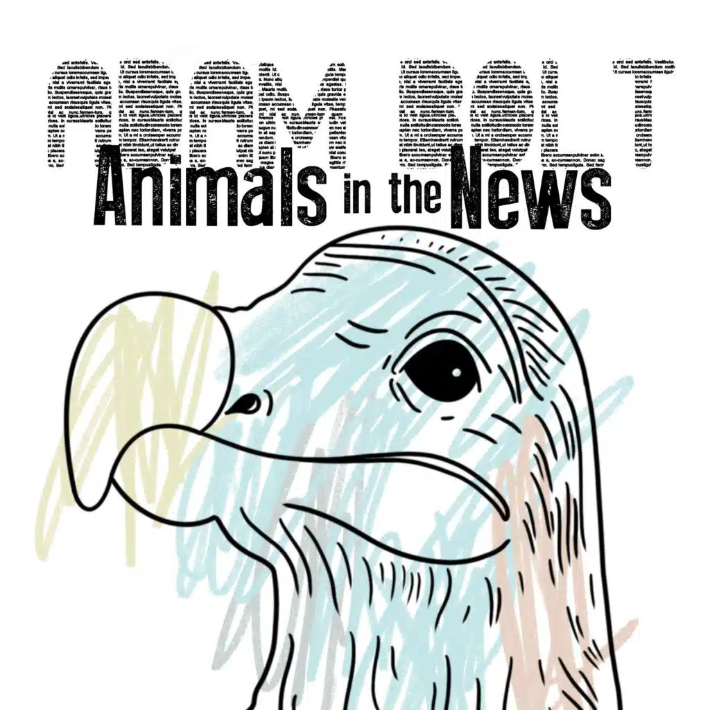 Animals in the News