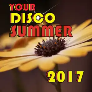 Your Disco Summer 2017