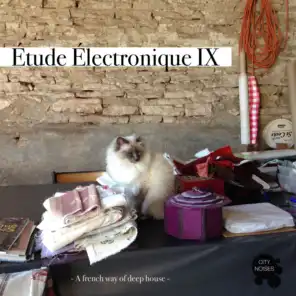 Étude Électronique IX - A French Way of Deep House
