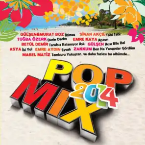 Pop Mix 2014
