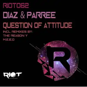 Question (The Reason Y Remix)