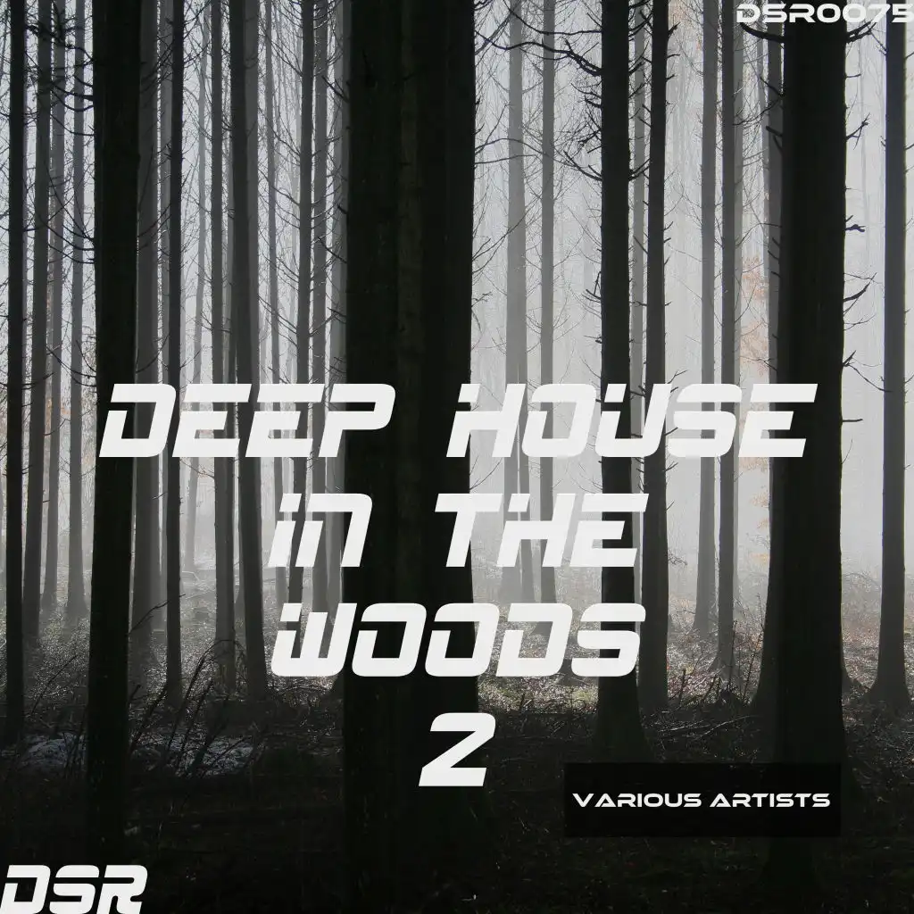 Deep House in the Woods, Vol. 2